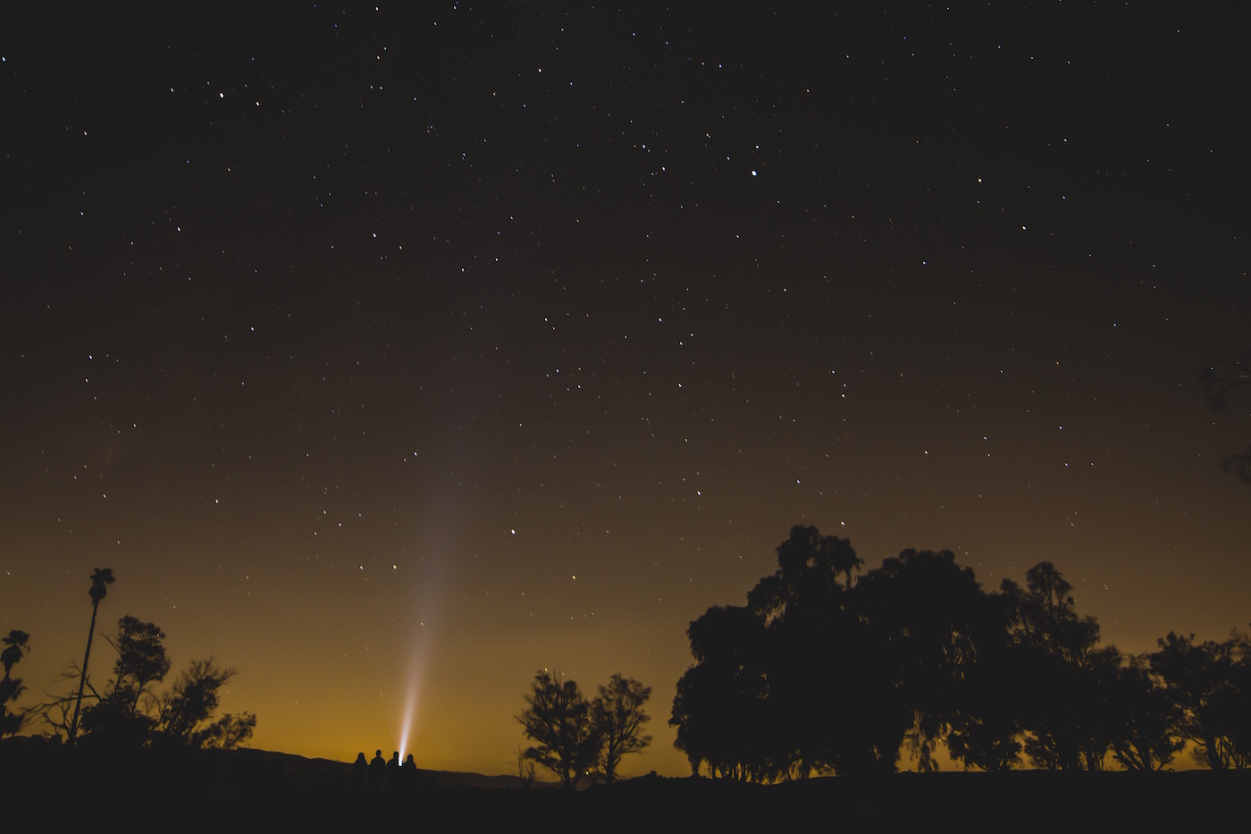 starlit night