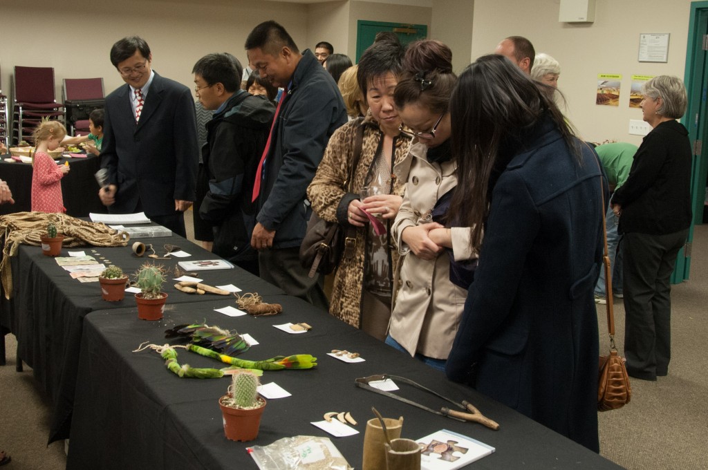 Looking at the Manjúi artifacts