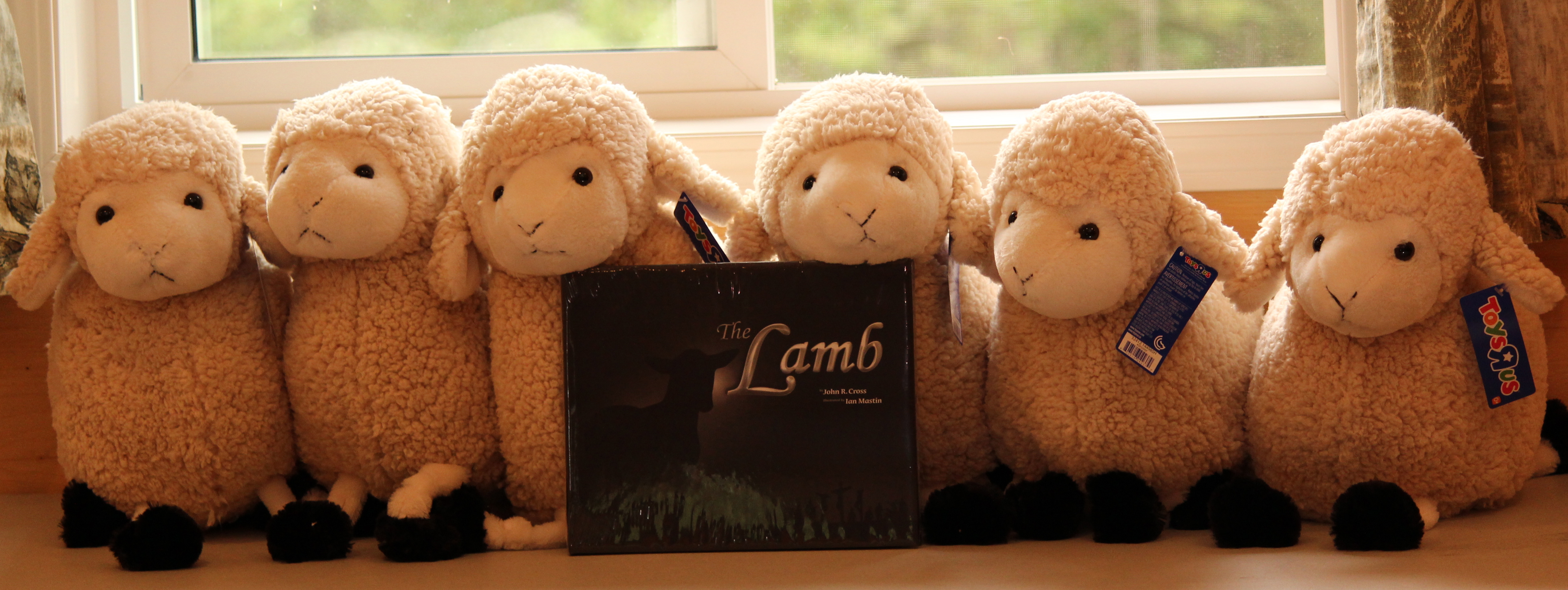 The Lamb book with lambs