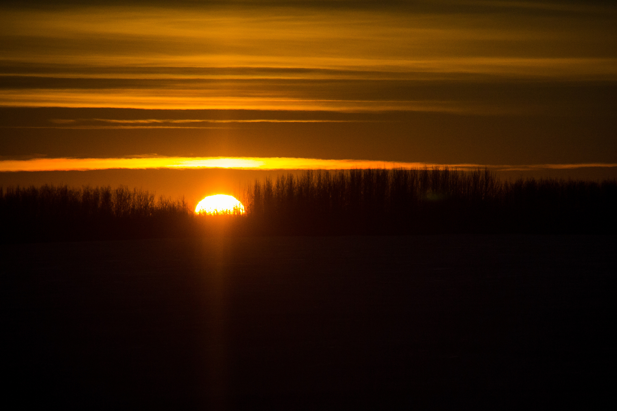 Sunrise