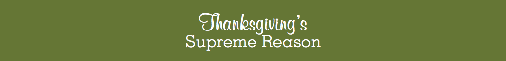 Thanksgiving Sleeve for The Story that Matters