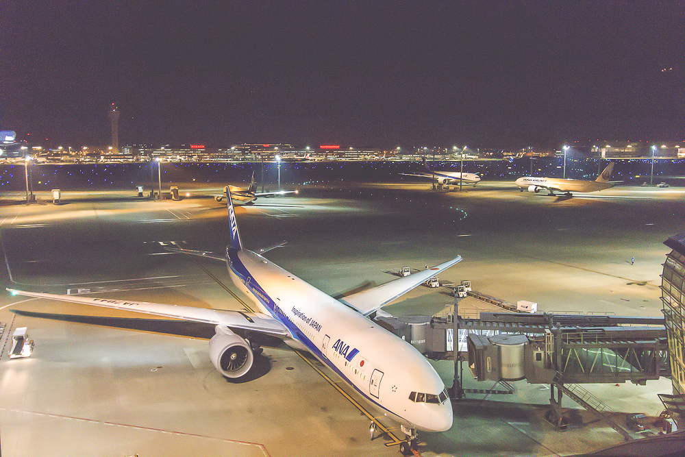 Airport Terminal